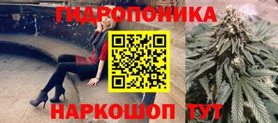 прущие грибы Ликино-Дулёво