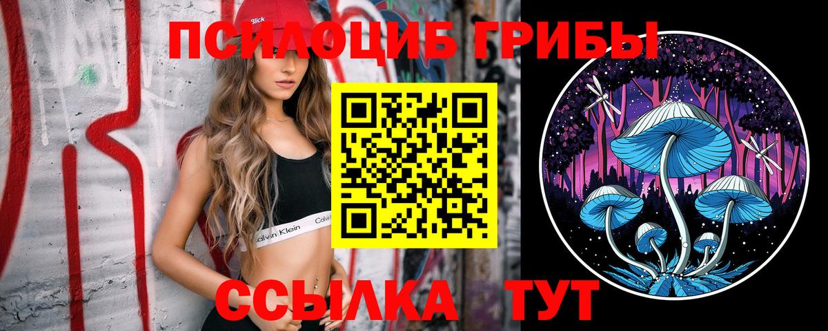 как найти наркотики  Вход с VPN  Гулькевичи  Псилоцибиновые грибы Psilocybe  Галлюциногенные грибы Psilocybine cubensis 